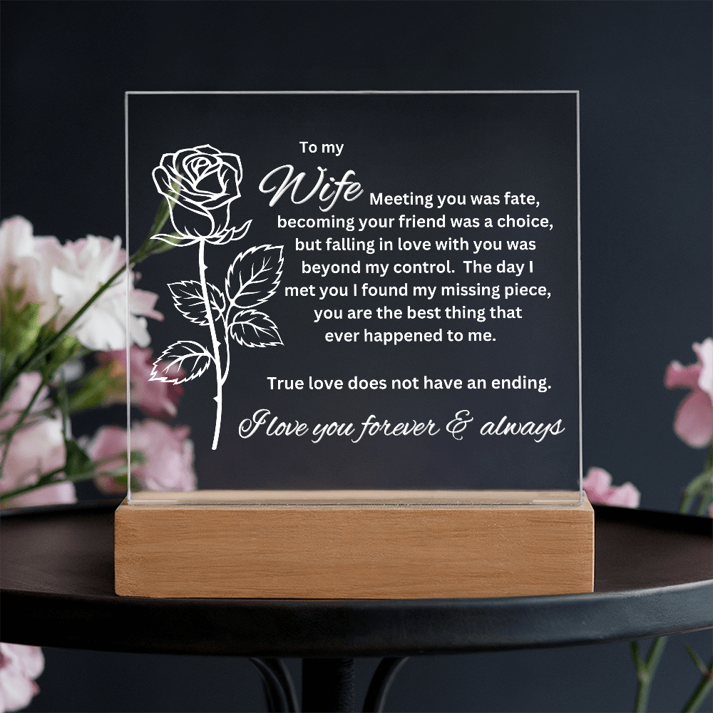 To My Wife - Meeting You Was Fate - Acrylic Plaque With Lighted Base